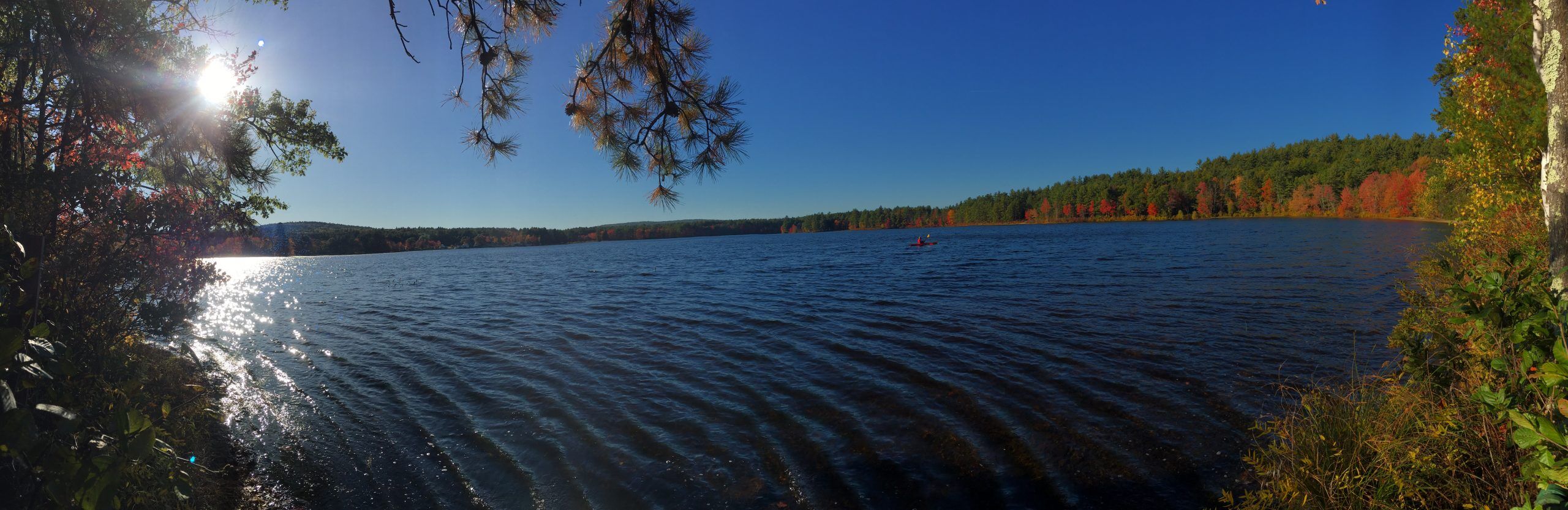 Blog 35 Run Long Run Strong | Personalized Endurance Coaching
